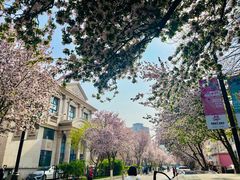 -天津五大道文化旅游区