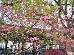 -柳莺湖上·湖景餐厅·江南菜(西湖店)