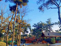 -东海森林温泉