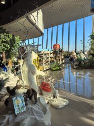 -IMON·HANSA潮玩玩偶毛绒玩具(通州万象汇店)