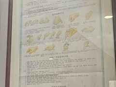 -广东中医药博物馆