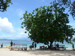 -东姑阿都拉曼海洋公园