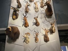 -浙江自然博物院(杭州馆)