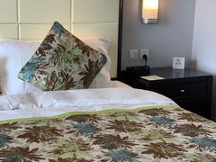 -武汉江城明珠豪生大酒店