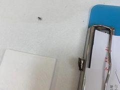 -朱仔记食府(江南大道店)