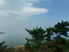 -摩天岭风景区
