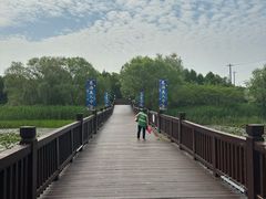 -苏州太湖国家湿地公园
