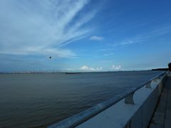 -大湾区中央湿地公园