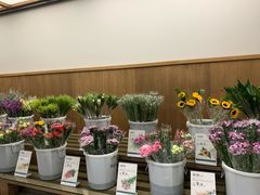 -鹿岛会员店 (龙湖三千集天街店)