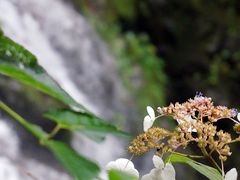 -藏龙百瀑风景区