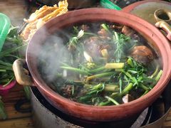 -霞姐屯昌枫木香草鸭店(海螺店)