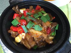 -石头咕(葵蓬店)