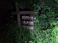 -鬼笑石后山停车场