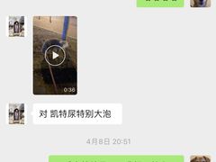 -派多格宠物(御景湾店)