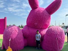 -秦皇岛乐岛海洋王国