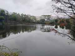 -王借岗森林公园