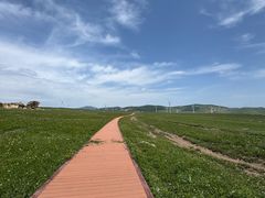 -空中草原