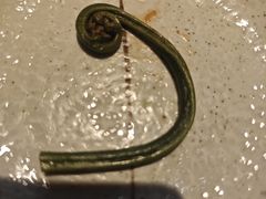 -水之惠鲜鱼料理(王府大街店)