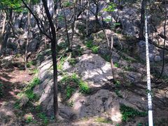 -黔灵山公园