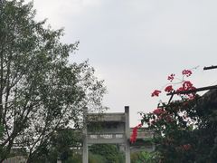 -扬美古镇景区