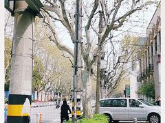 -上海市宝山区少年宫