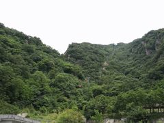 -牛背梁国家森林公园