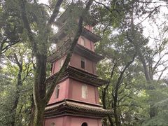 -阿育王寺