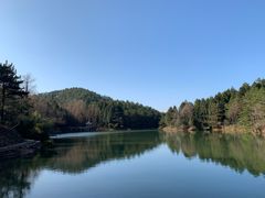 -四明山国家森林公园