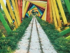 -合肥滨湖国家森林公园