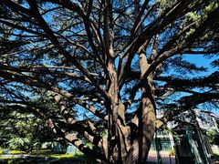 -国家植物园南园