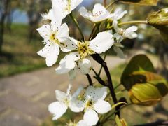 -长兴太湖图影湿地文化园