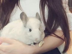 -藦茜花园宠物主题亲子互动体验馆(国顺东路店)