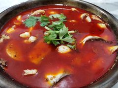 -重庆特色冷锅鱼(武大店)
