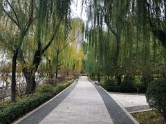 -迎泽公园
