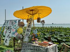 -七的湖·晚芳亭·阳澄湖农家菜·大闸蟹(莲花岛店)
