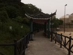 -平湖九龙山旅游度假区