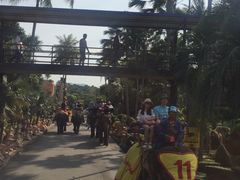 -东芭乐园