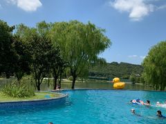 -上海佘山世茂艾美酒店