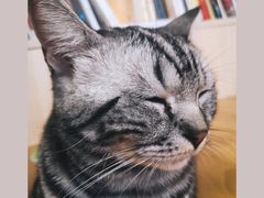 -有何Book(六堰体育馆店)