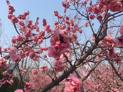 -唐城墙遗址公园