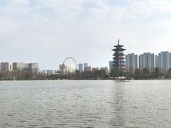 -洋湖国家湿地公园