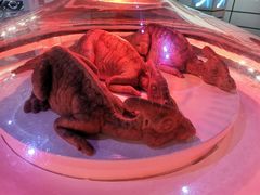 -侏罗纪世界电影特展(广州站)