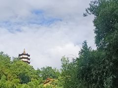 -洪崖丹井