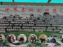 -长寿村