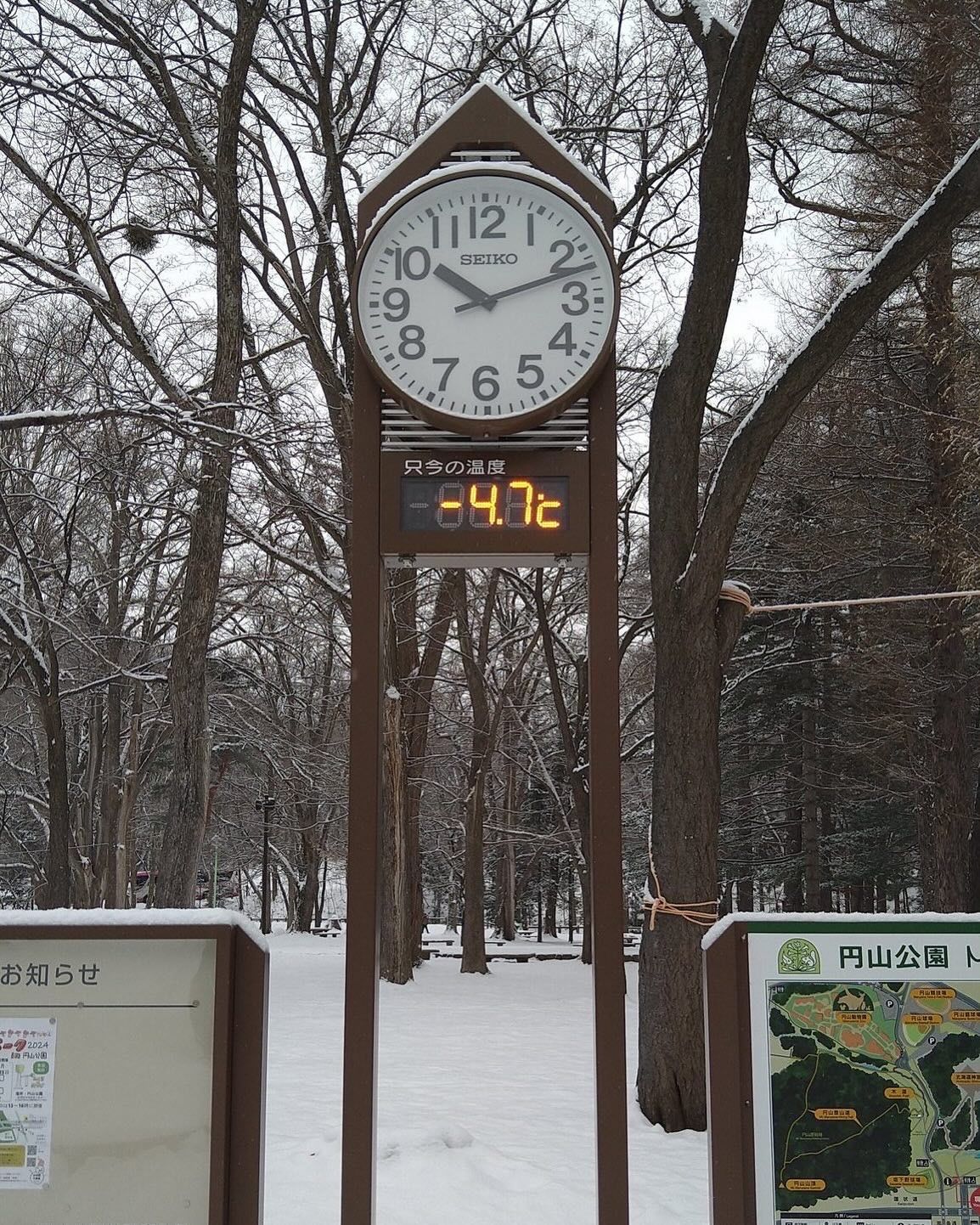 飘落在日本札幌的圆山公园,这里便摇身一变,成为了梦幻的冰雪王国