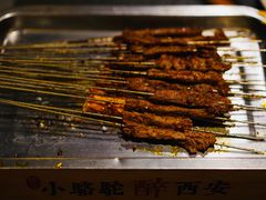-福苗小骆驼烧烤(大唐不夜城店)