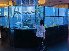 -王家渡火锅店(棕榈泉店)