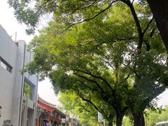 -北京国子监胡同