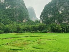 -明仕田园