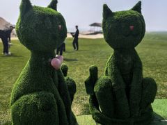 -秦皇岛阿尔卡迪亚滨海度假酒店